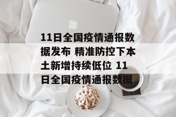 11日全国疫情通报数据发布 精准防控下本土新增持续低位 11日全国疫情通报数据