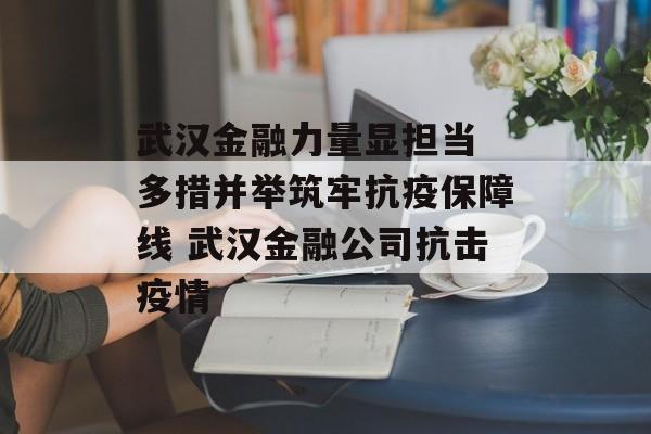 武汉金融力量显担当 多措并举筑牢抗疫保障线 武汉金融公司抗击疫情