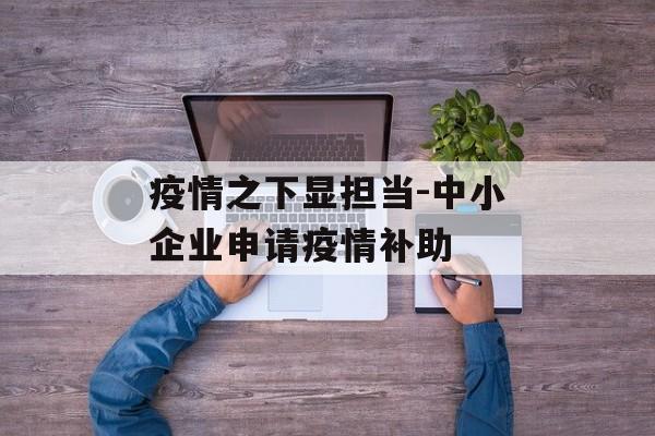 疫情之下显担当-中小企业申请疫情补助