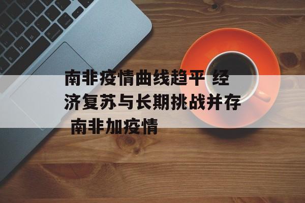 南非疫情曲线趋平 经济复苏与长期挑战并存 南非加疫情
