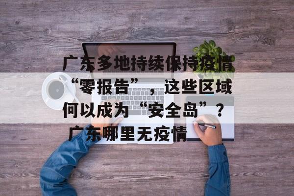 广东多地持续保持疫情“零报告”，这些区域何以成为“安全岛”？ 广东哪里无疫情