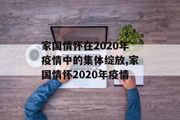 家国情怀在2020年疫情中的集体绽放,家国情怀2020年疫情