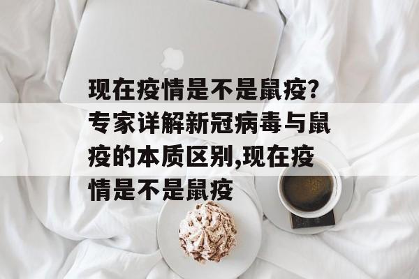 现在疫情是不是鼠疫？专家详解新冠病毒与鼠疫的本质区别,现在疫情是不是鼠疫