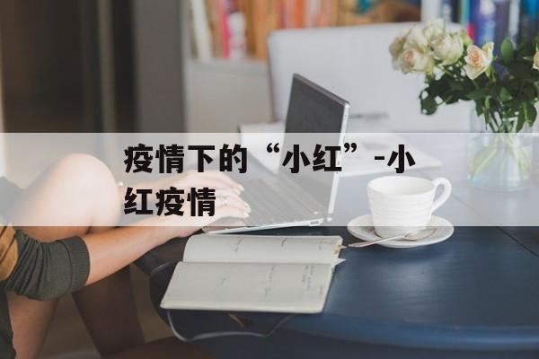 疫情下的“小红”-小红疫情