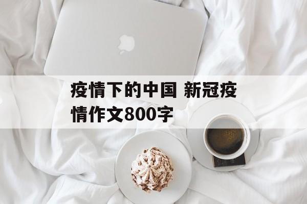 疫情下的中国 新冠疫情作文800字