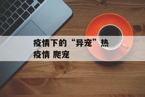 疫情下的“异宠”热 疫情 爬宠